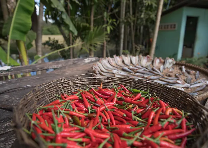 Kwatera prywatna Chansor 18 By Siem Reap Homesteading *