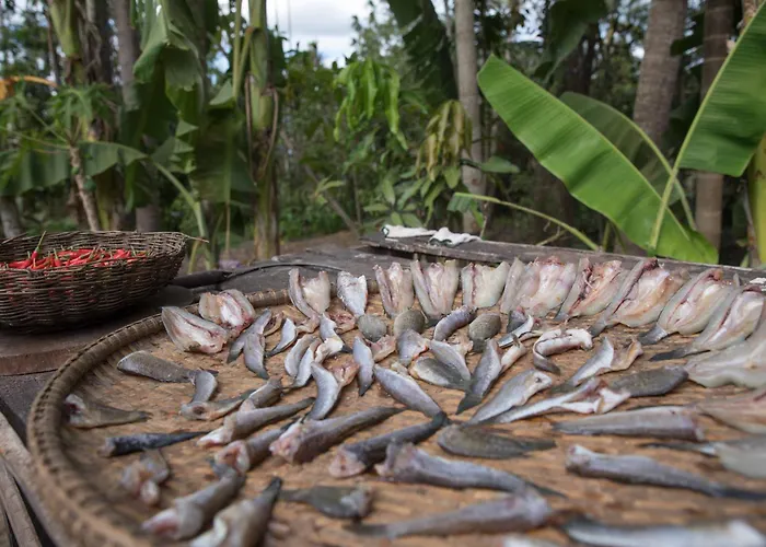 Chansor 18 By Siem Reap Homesteading Kwatera prywatna