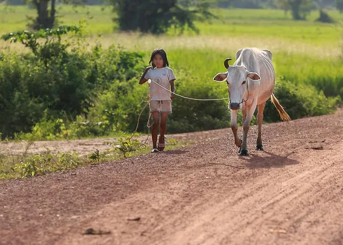 Kwatera prywatna Chansor 18 By Siem Reap Homesteading Phumi Trach Pok