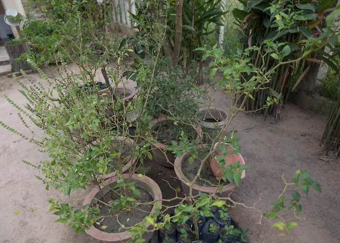 Chansor 18 By Siem Reap Homesteading Kwatera prywatna *