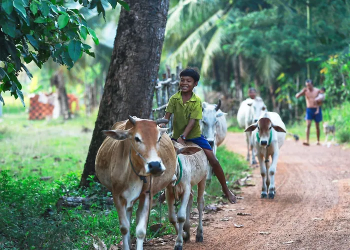Kwatera prywatna Chansor 18 By Siem Reap Homesteading *